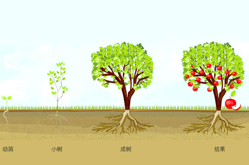 水溶肥-叶面肥-微生物菌肥-万物生有机肥料